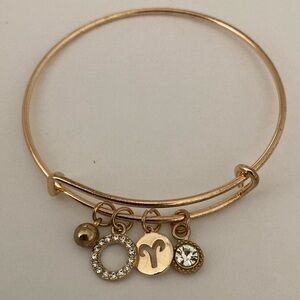 Aries symbol charm bracelet